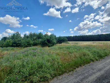 Działka 3053m2 - Głogusz gm. Sulechów