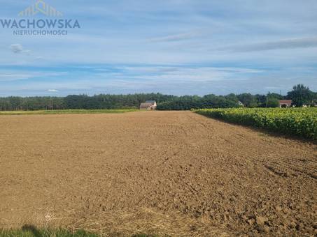 Działki budowlane - Bojadła, ul. Północna